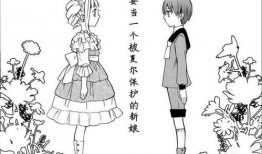 伊丽莎白漫画,宫廷风云中的智慧与爱情